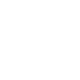 Why Icon